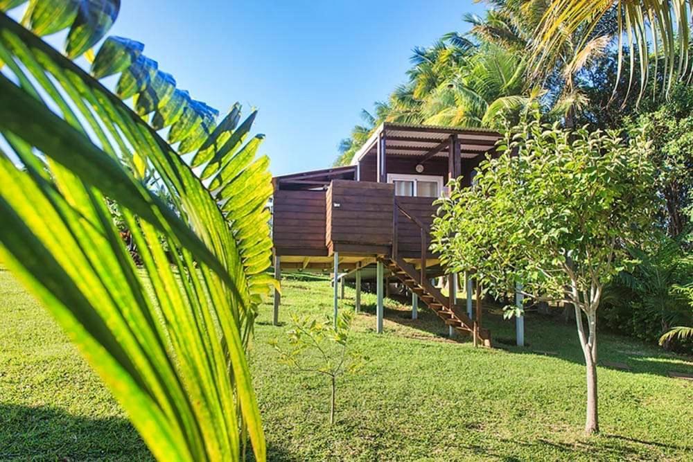 L'Escapade Creole Jacuzzi Privatif Bungalow Ananas Saint-Joseph Eksteriør billede